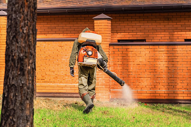 Bed Bug Clearance Verification and Documentation in Nisswa